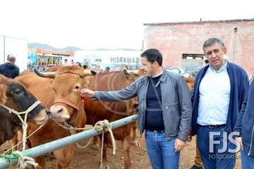 Los Llanos de Telde, en el día grande de sus fiestas patronales de 2019 (Foto Francisco Javier Santana)